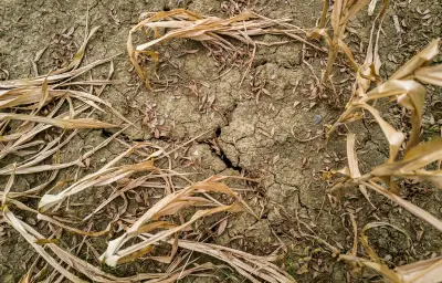 FNSEA exige un « choc de réactivité » face à la catastrophe agricole