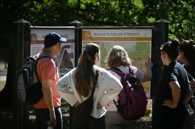 Forêt de Fontainebleau : réouverture partielle après les incendies
