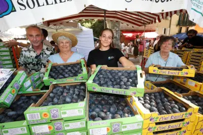 Fête de la figue à Solliès-Pont : 29e édition, 150 exposants et 25 confréries