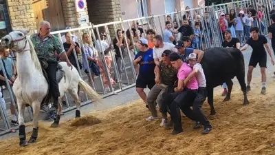Fête votive de Laudun : trois jours de taureaux et d'animations
