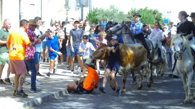 Fête votive à Redessan : le Toril et les manades à l'honneur