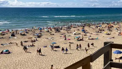 Gironde et Landes : appel aux touristes après les incendies