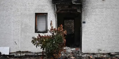 Gironde : retour des habitants, des millions de pins calcinés à abattre