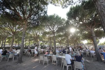 Grande mouclade à La Seyne : ambiance guinguette sous les pins