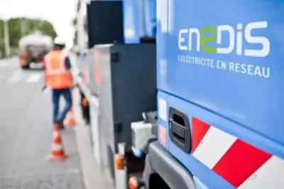 Grasse : 288 foyers privés d'électricité après une chute d'arbre