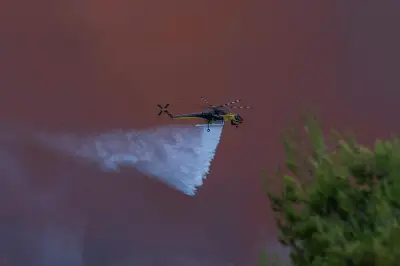 Grèce : collision de deux hélicoptères luttant contre un incendie