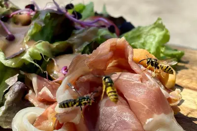 Guêpes aux Salins d'Hyères : les restaurateurs en guerre
