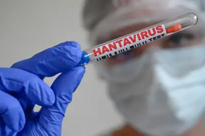 Hantavirus : tous les cas contacts du touriste identifiés