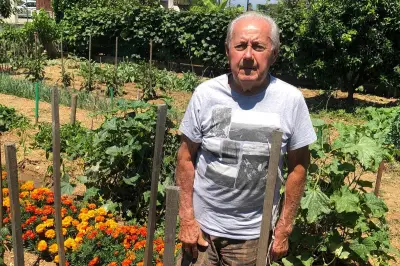 Henri Zunino, passionné de jardinage à Vallauris, s'est éteint