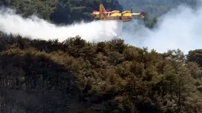 Hérault : sept massifs forestiers en alerte orange incendie ce vendredi 21 août
