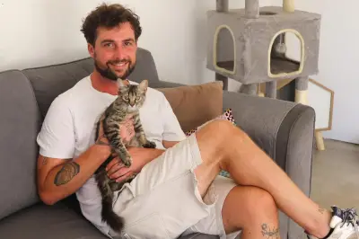 Hôtel pour chats Chez Pépé et Babou ouvre près de La Seyne