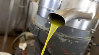 Huile d'olive : vers une nouvelle flambée des prix dès l'automne