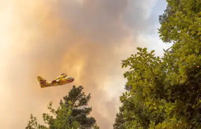 Incendie dans la Drôme : 370 hectares brûlés, 4 pompiers blessés