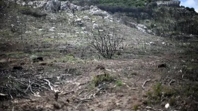 Incendie dans l'Aude : feu contenu après 100 hectares, aucune victime