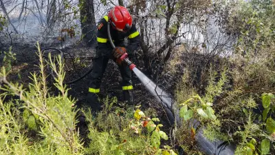Incendie dans le Var : le maire d'Aubagne accusé d'avoir emprunté du matériel aux pompiers