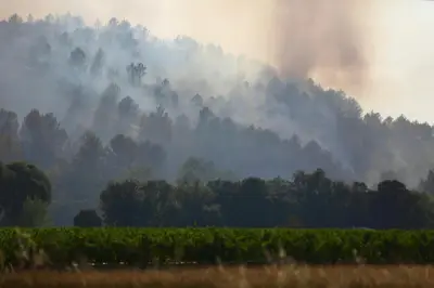 Incendie dans le Var : le maire de Montfort-sur-Argens reste inquiet