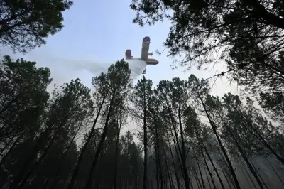 Incendie dans les Landes : 1 580 hectares brûlés, 650 personnes évacuées