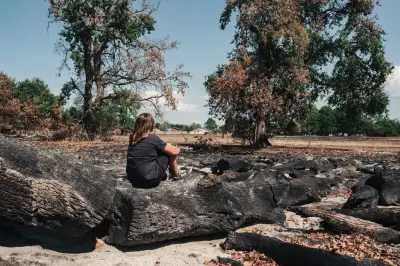 Incendie de Gironde vu à hauteur d'enfant : «Je pensais que les volets pouvaient nous protéger»