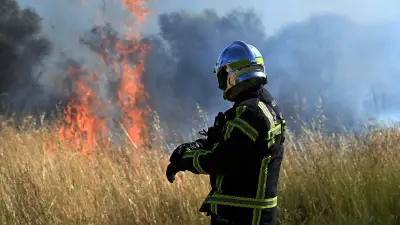 Incendie de végétation à Saint-Gilles : un hectare brûlé, aucun blessé