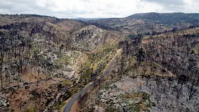 Incendie des Corbières : un an après, le massif toujours marqué