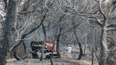 Incendie du Gros Bessillon dans le Var : le feu officiellement éteint après 6 300 hectares parcourus