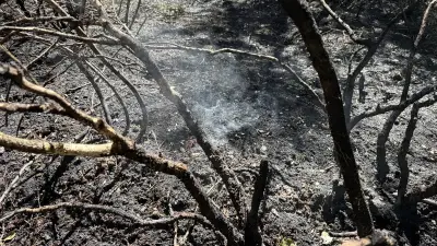 Incendie à La Malène : 5 000 m² de forêt brûlés, feu maîtrisé