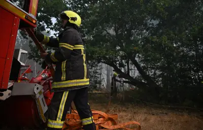 Incendie à Neuilly-sur-Marne : le maire s'insurge contre des mineurs
