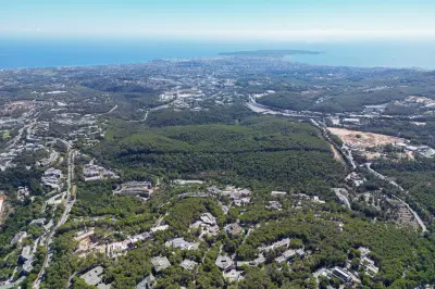 Incendie à Sophia Antipolis : la stratégie des pompiers détaillée