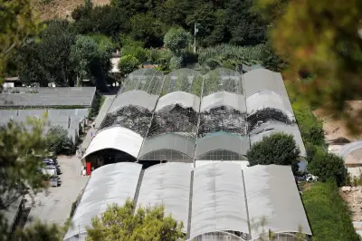 Incendie Val de Cagne : un garage de luxe sous serres agricoles