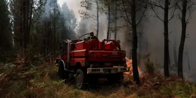 Incendies : 1 300 hectares brûlés dans les Landes, 83 départements en vigilance orange