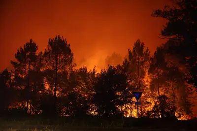 Incendies 2022 : la France a brûlé comme jamais