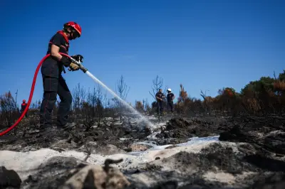 Incendies : accalmie en Gironde et dans le Var, un coordinateur nommé