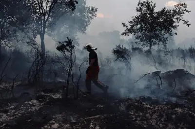 Incendies criminels : la France durcit sa réponse judiciaire
