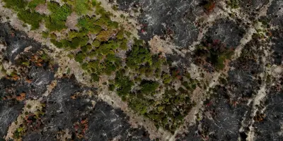 Incendies dans la Drôme : le feu stable, accès restreint