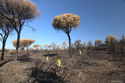 Incendies dans le Var : appel aux dons pour sauver la faune sauvage