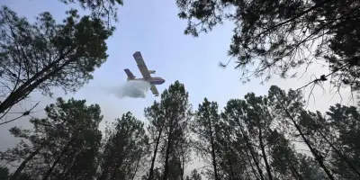 Incendies dans les Landes : 1 580 hectares brûlés, 64 départements en alerte