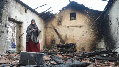Incendies en Algérie : le président veut appliquer la peine de mort contre les pyromanes