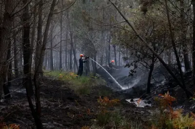 Incendies en France : le point sur les brasiers dans le Var, la Drôme et la Gironde