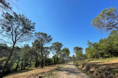 Incendies hors norme : le Pays de Fayence se prépare avec une stratégie défensive