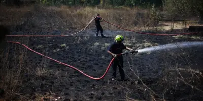Incendies : le Var stabilisé, la Gironde en surveillance