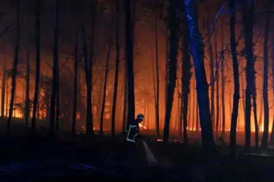 Incendies : les Landes de nouveau en proie aux flammes