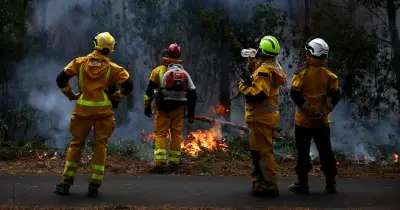 Incendies : l’Ukraine envoie 70 pompiers et 15 véhicules en France