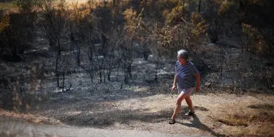 Incendies : quatre massifs du Var fermés, feu dans la Drôme