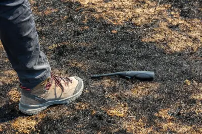 Incendies volontaires dans le Var : qui sont les incendiaires ?
