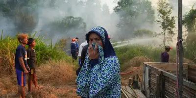 Indonésie : feux de forêt, écoles fermées et pompiers mobilisés