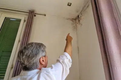 Insalubrité à Vallauris : le locataire condamné après avoir cessé de payer son loyer