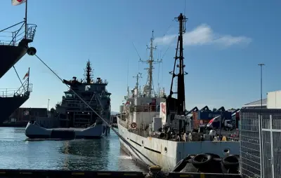 Islande : expulsion requise pour 21 militants anti-chasse à la baleine