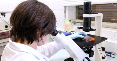 La France décroche dans la compétition scientifique mondiale