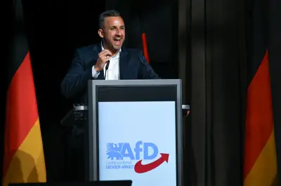 Land de l'Est : l'AfD en tête des sondages avant le scrutin