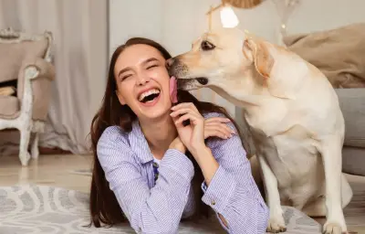 Léchage du chien : affection, stress ou apprentissage ?